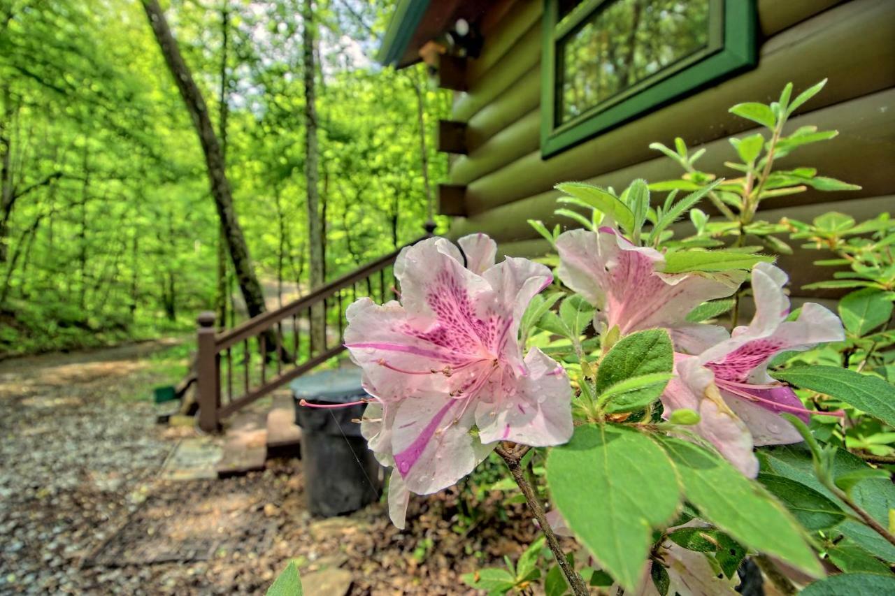 Tree Song Mountain Creek Cabin Ellijay Esterno foto